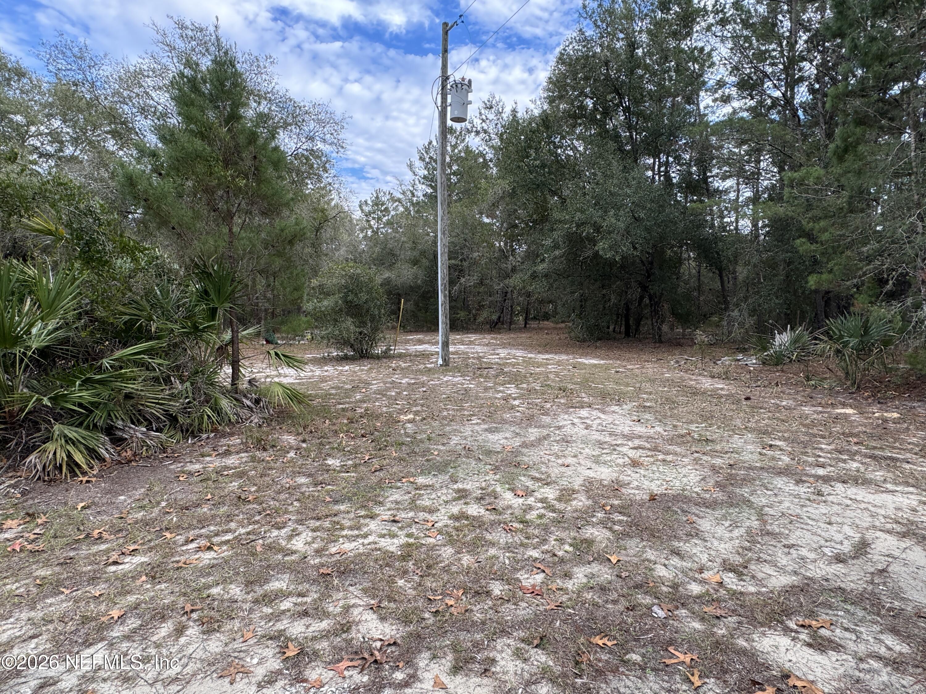 850 Cousintown Road Interlachen, FL 32148 - Photo 18 of 27 a view of outdoor space with trees
