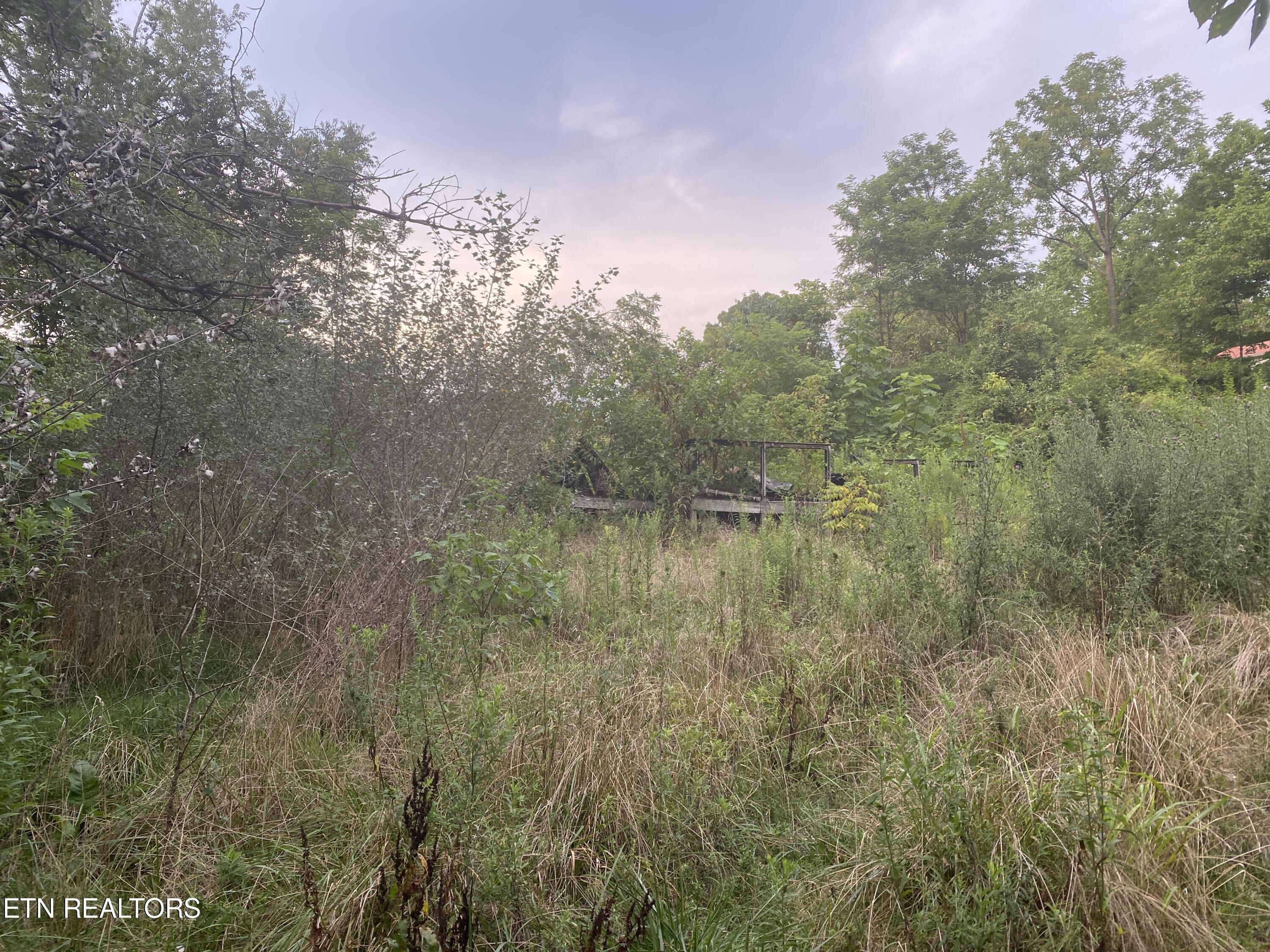 491 Mackey Road Washburn, TN 37888 - Photo 4 of 19 IMG_9422