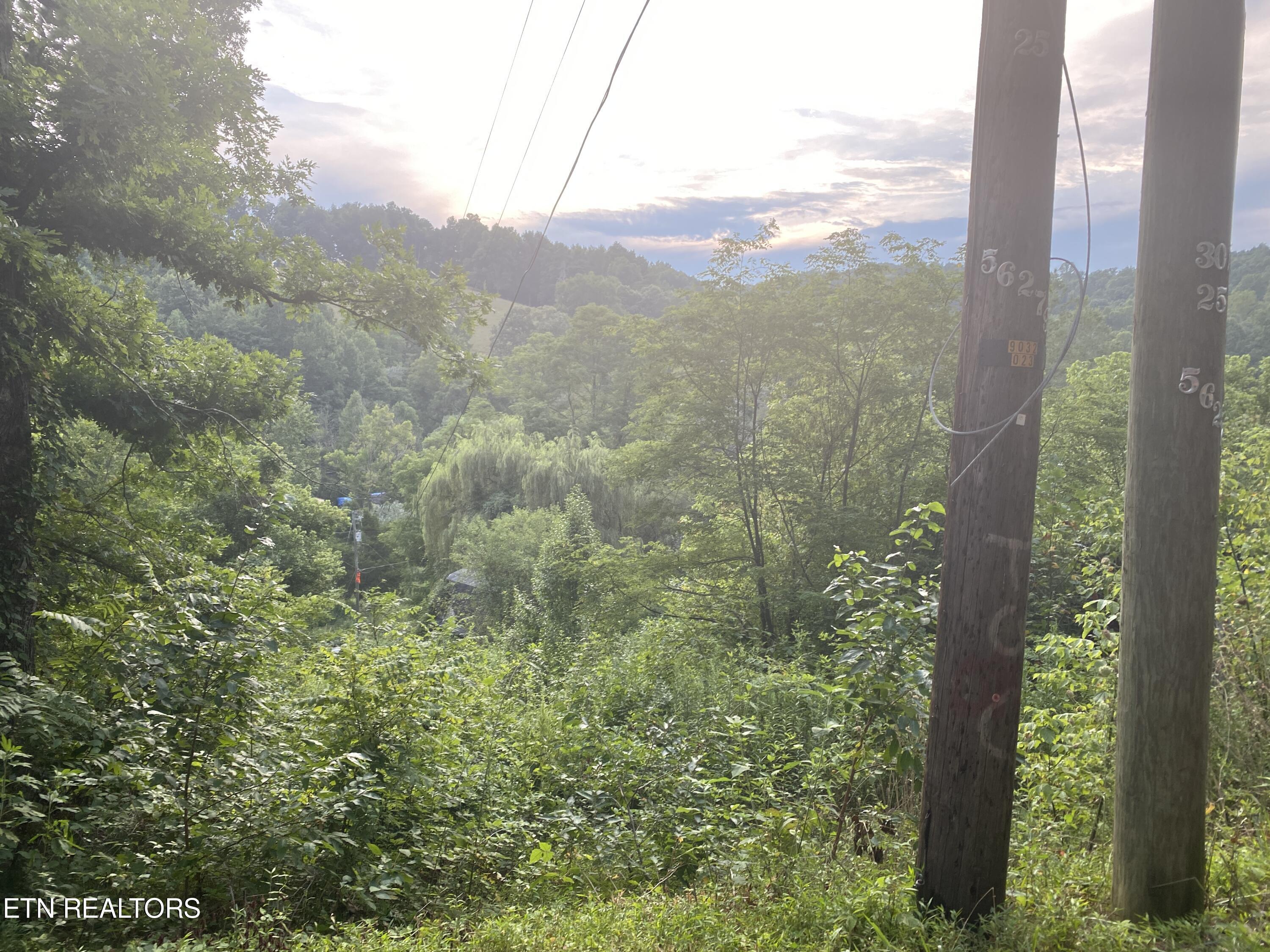 491 Mackey Road Washburn, TN 37888 - Photo 5 of 19 IMG_9423