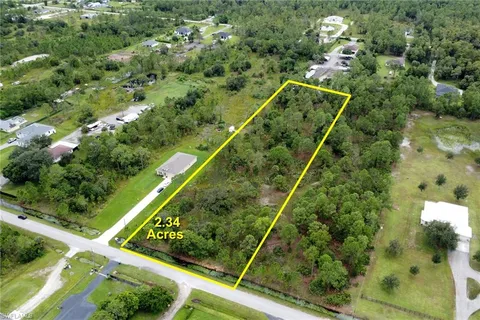 a view of a yard with a tree