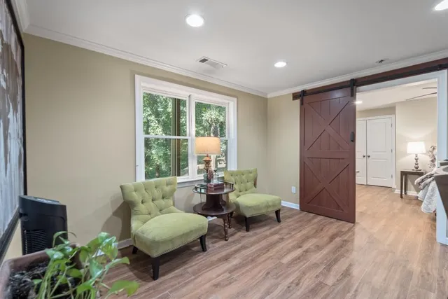 a view of a large trees with plants and large trees