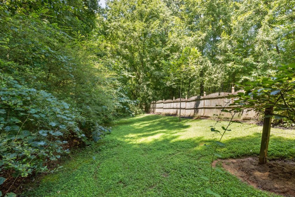 4140 River Bluff Run Way Suwanee, GA 30024 - Photo 61 of 83 a view of a yard with a tree
