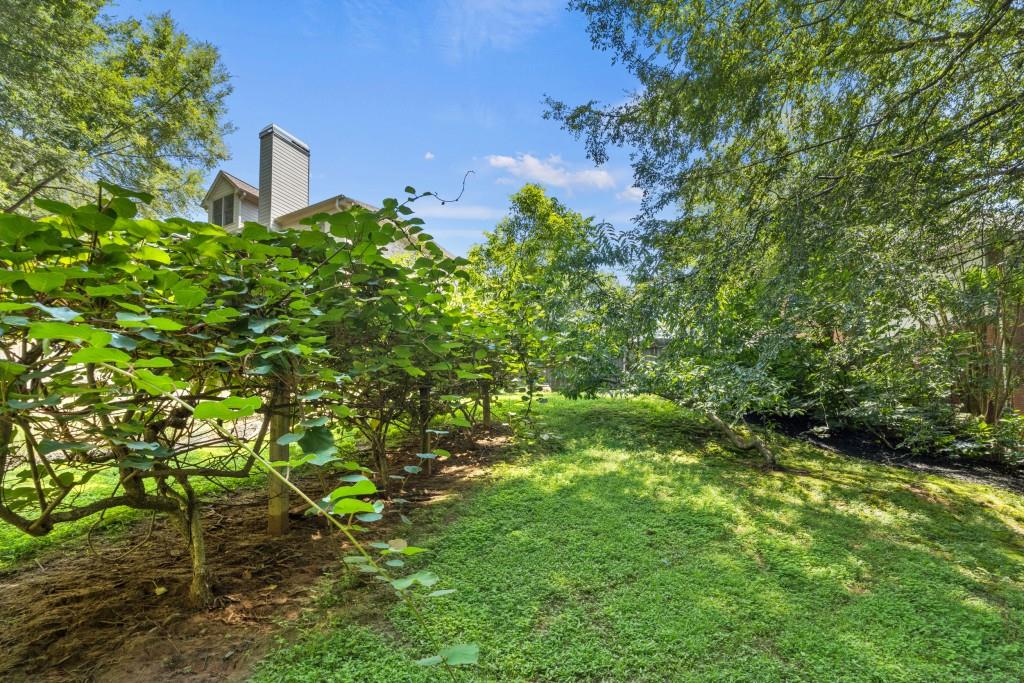 4140 River Bluff Run Way Suwanee, GA 30024 - Photo 62 of 83