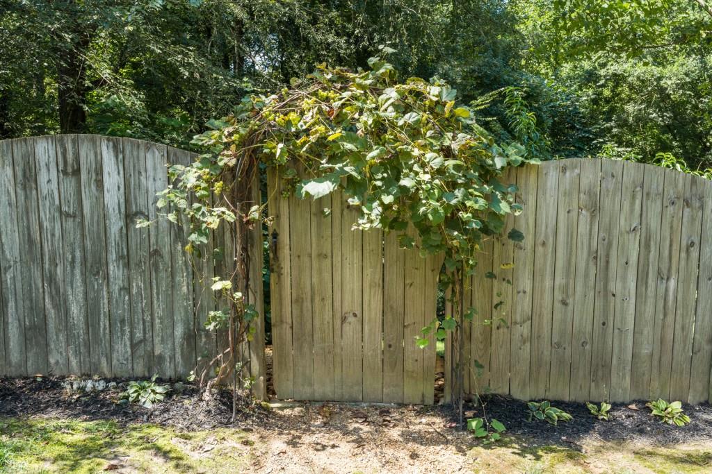 4140 River Bluff Run Way Suwanee, GA 30024 - Photo 63 of 83 a view of a wooden fence next to a large tree