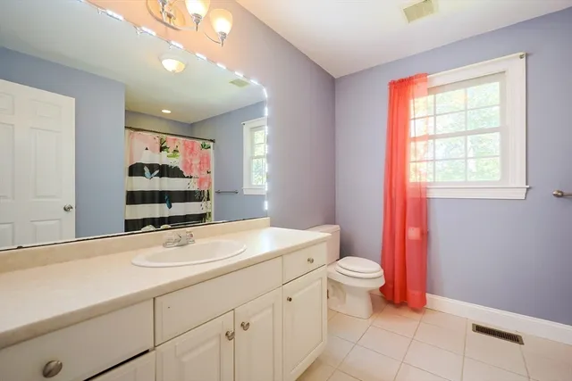 a bathroom with a sink a toilet and mirror