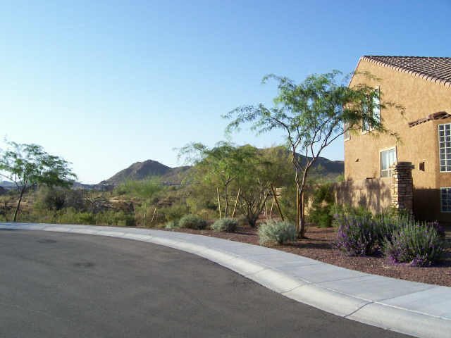 2214 West Eagle Feather Road Phoenix, AZ 85085 - Photo 3 of 6 Additional Photo