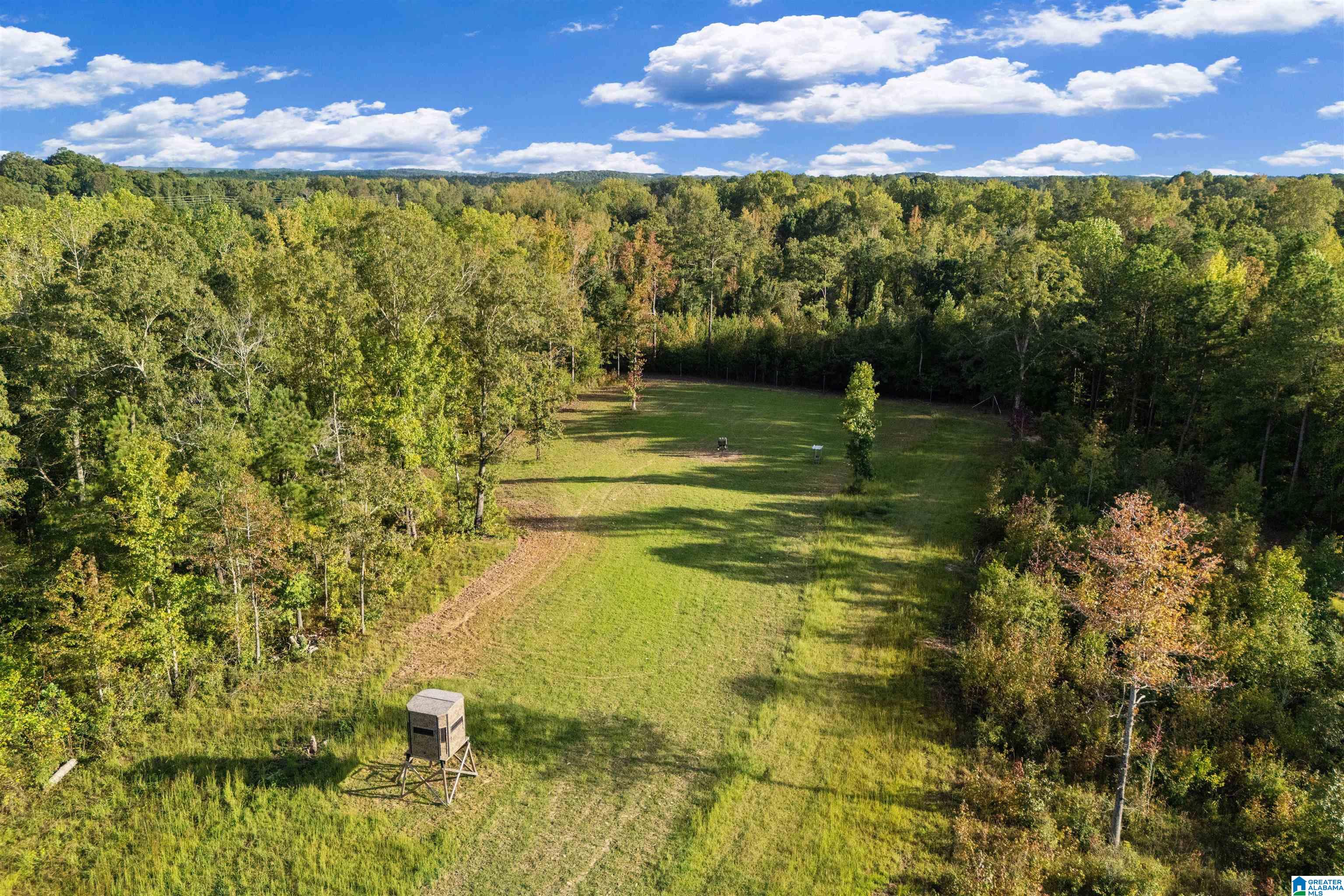 470 Gilham Road Roanoke, AL 36274 - Photo 64 of 70