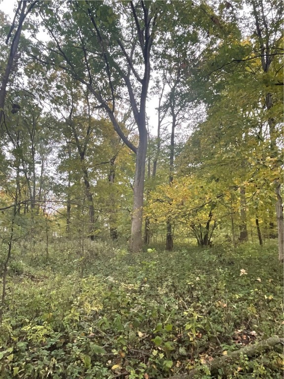 6100 North 1450 Road Fairmount, IL 61841 - Photo 1 of 7 Gallery Image 1