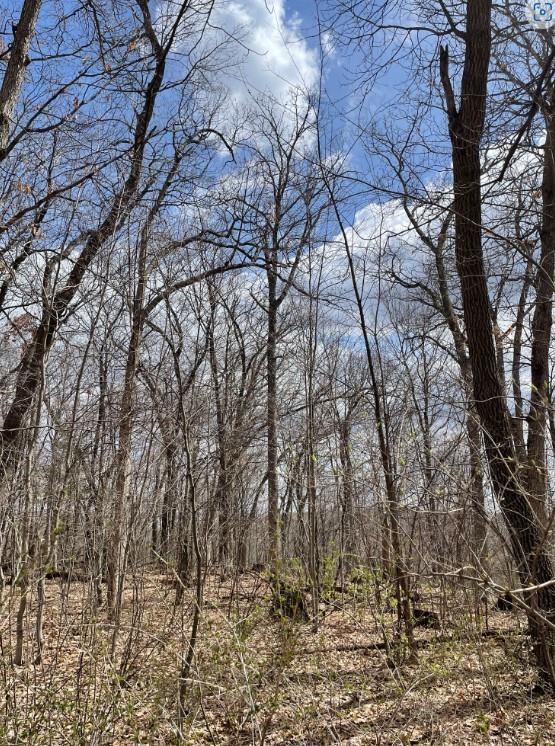 7 93-acres 7 93-acres Brown Elroy Wi  