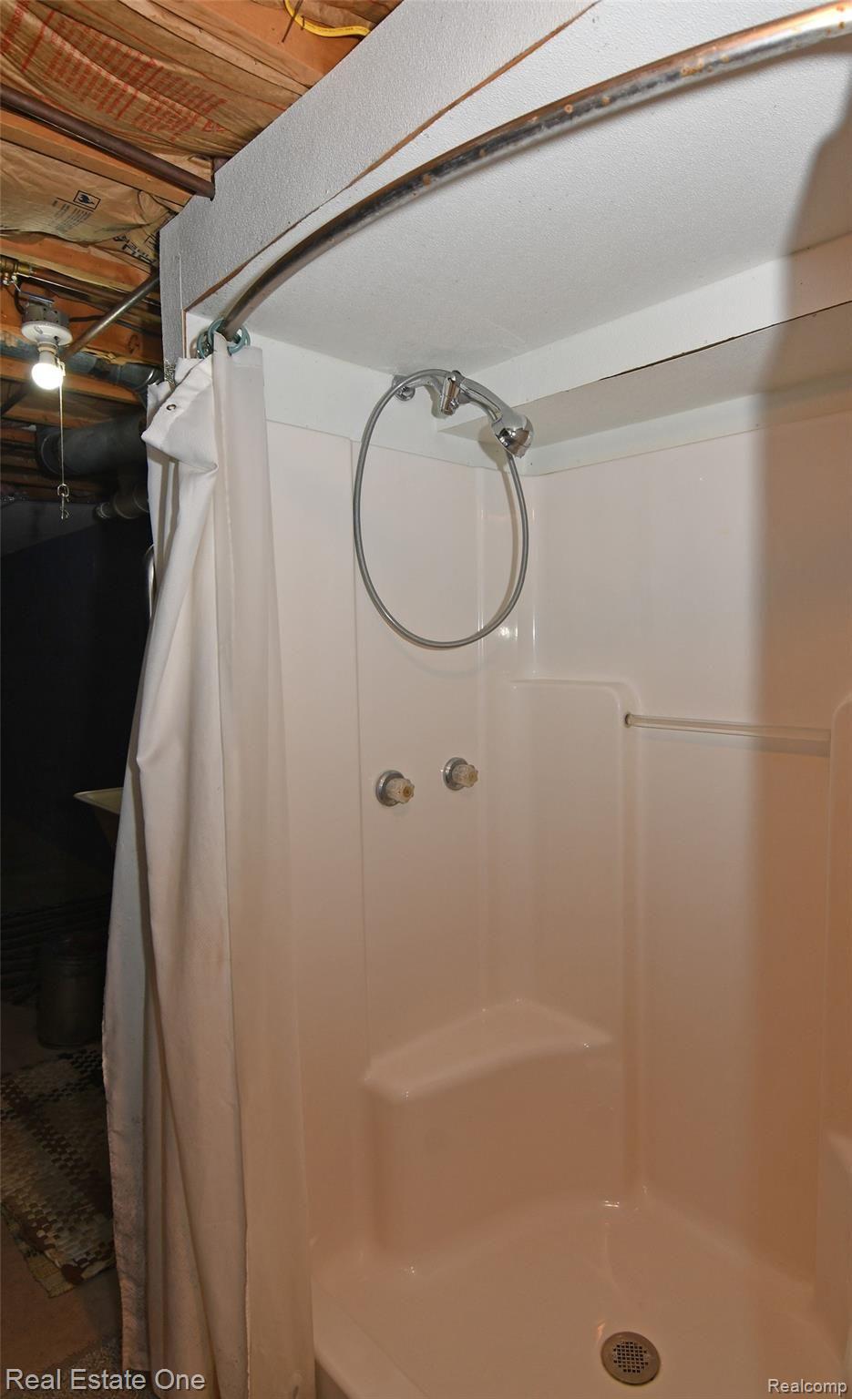 4270 Pheasant Road Lincoln, MI 48742 - Photo 29 of 33 Shower in LL