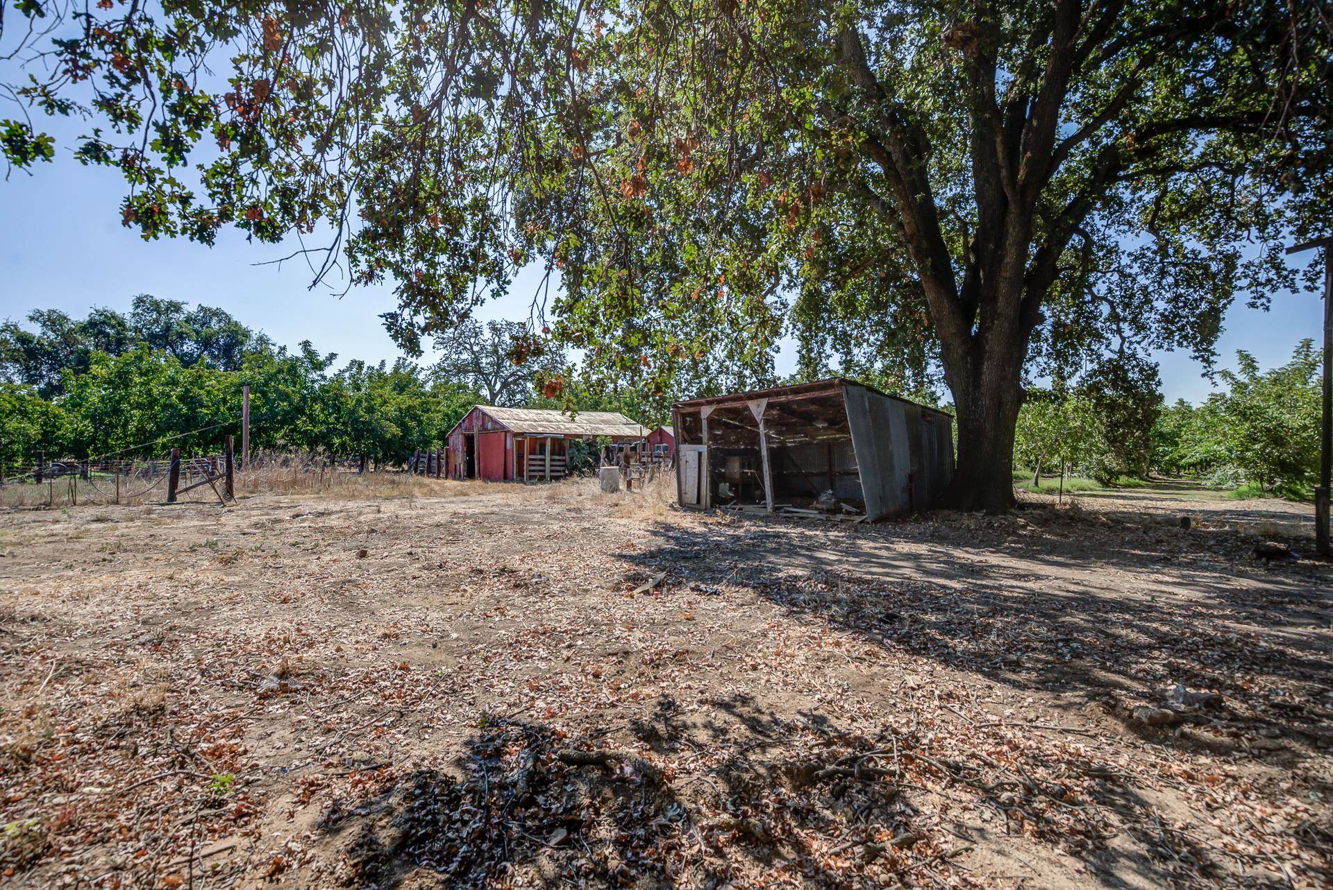 23622 Proberta Road Gerber, CA 96035 - Photo 33 of 72 Gallery Image 33