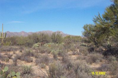 11160 North Sandra Road Tucson, AZ 85742 - Photo 6 of 7 Gallery Image 6