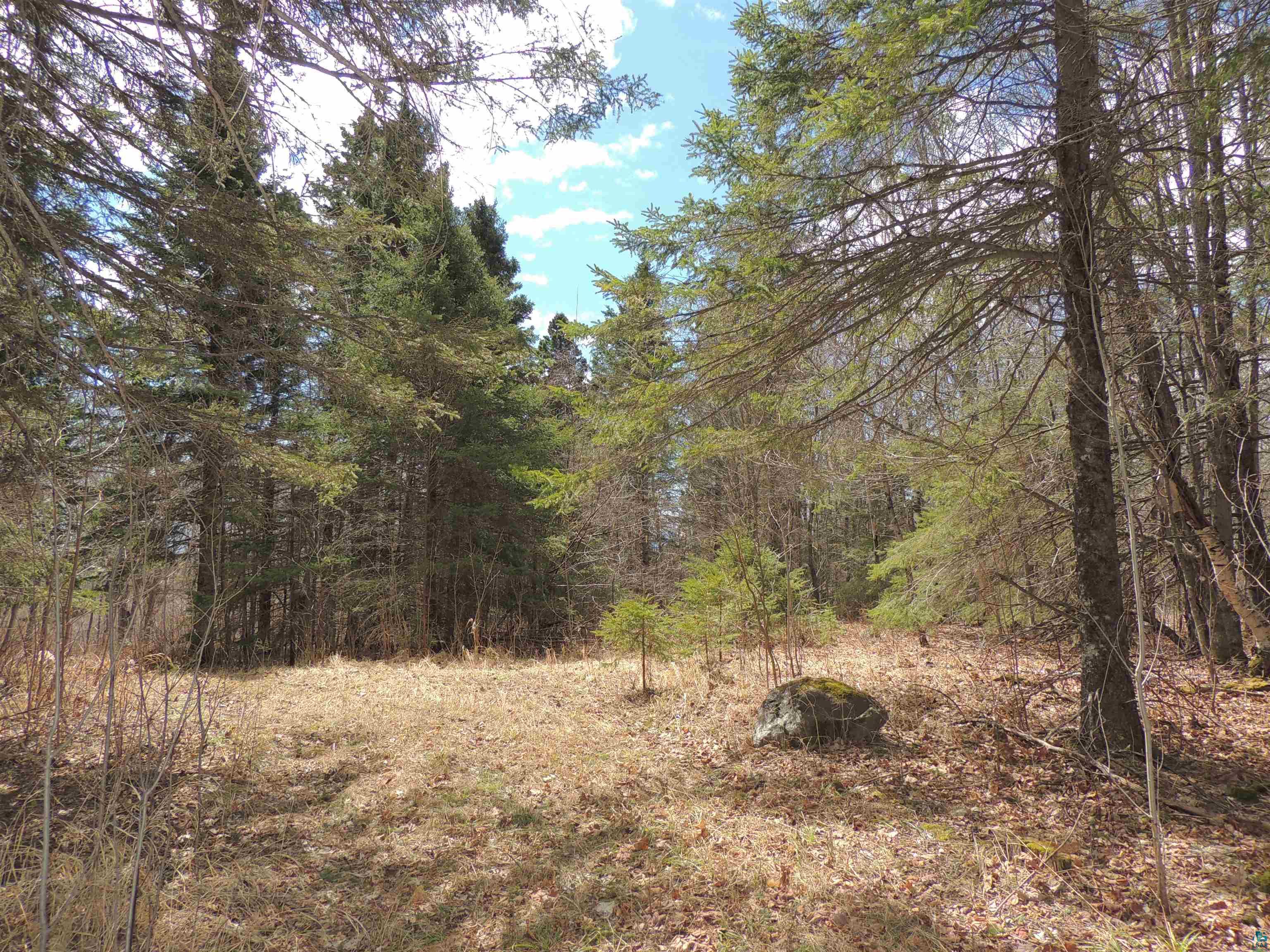 Xxx Springdale Road Tofte, MN 55615 - Photo 26 of 36