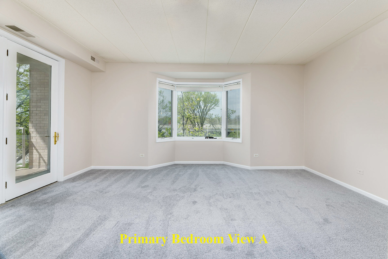 1715 Pavilion Way, Unit 307 Park Ridge, IL 60068 - Photo 26 of 35