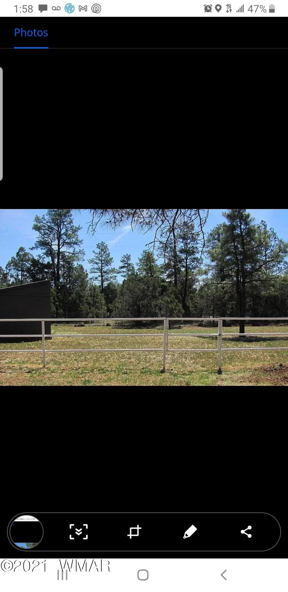 4453 Show Low Lake Road Lakeside, AZ 85929 - Photo 3 of 24