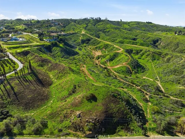 a view of a lush green forest with houses