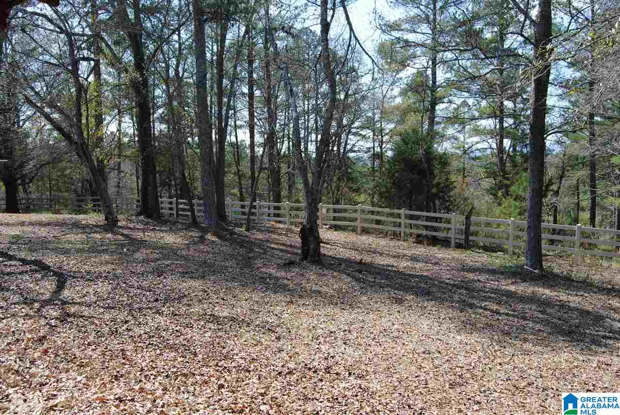 1445 Blacks Chapel Road Lineville, AL 36266 - Photo 36 of 40