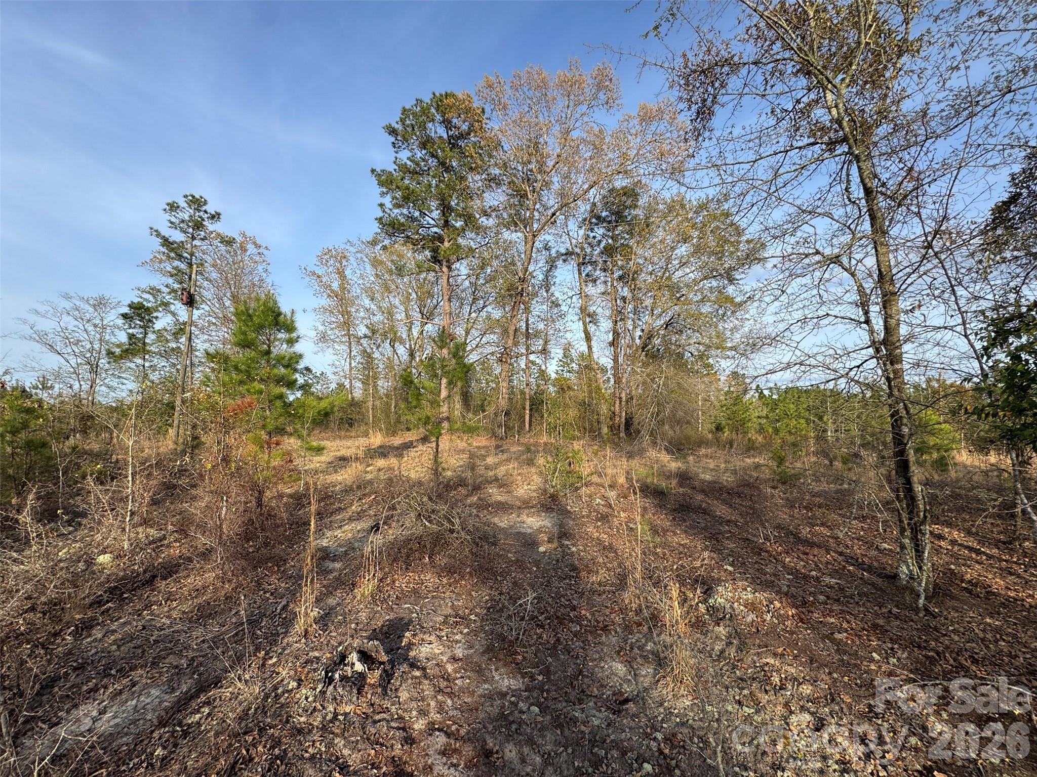 0 McQueen Road Patrick, SC 29584 - Photo 16 of 25