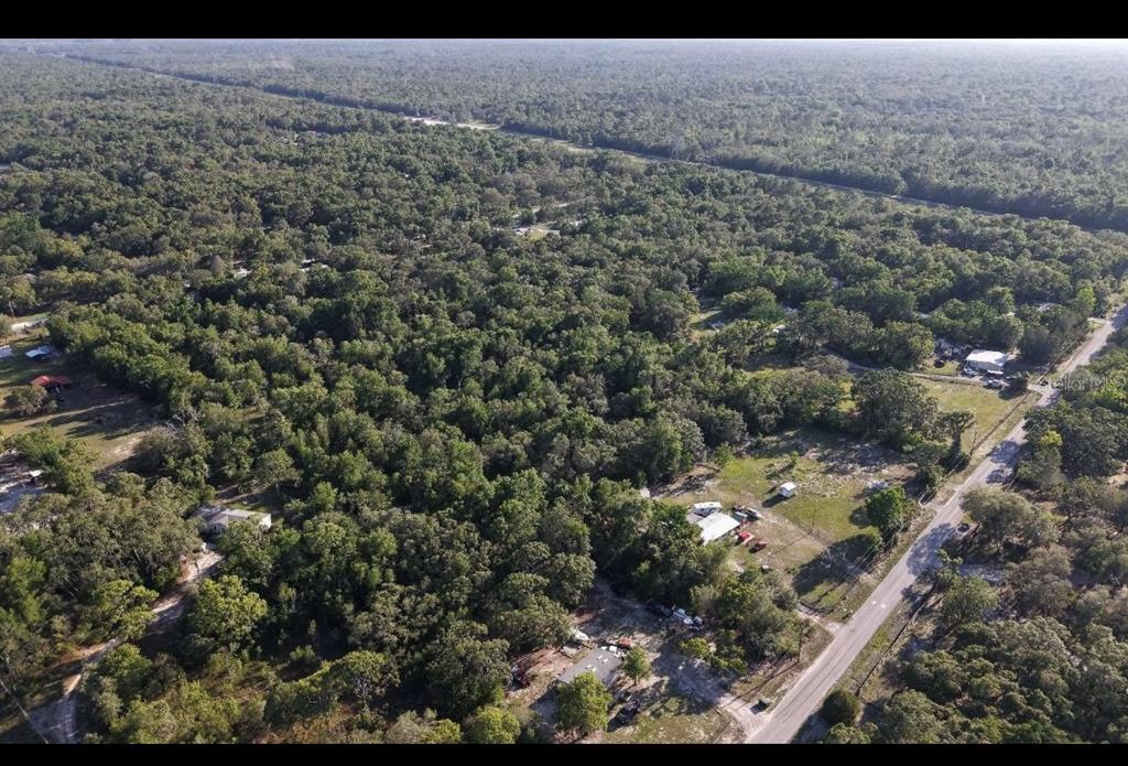 Olney Lane Spring Hill, FL 34610 - Photo 2 of 6 a view of a yard