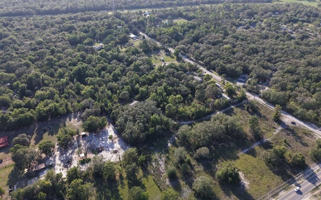Olney Lane Spring Hill, FL 34610 - Photo 5 of 6 a view of a forest with a tree