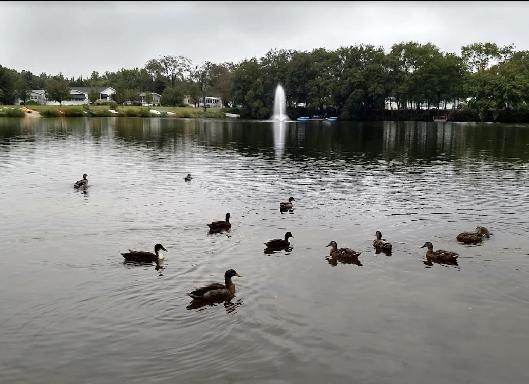 1402 South Rte 9 Cape May Court House, NJ 08210 - Photo 17 of 18 a view of a lake