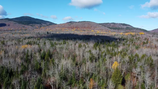 $170,000 | M5-l16 Aroostook Scenic Highway, Smyrna Mills, ME 04780