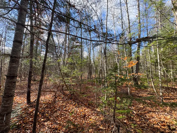 $170,000 | M5-l16 Aroostook Scenic Highway, Smyrna Mills, ME 04780