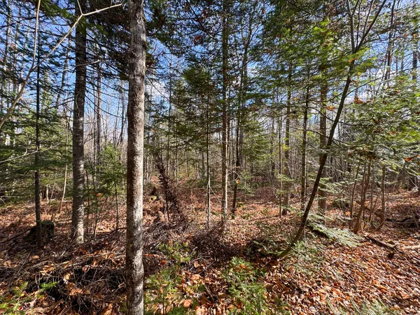 $170,000 | M5-l16 Aroostook Scenic Highway, Smyrna Mills, ME 04780