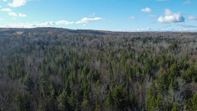 $170,000 | M5-l16 Aroostook Scenic Highway, Smyrna Mills, ME 04780