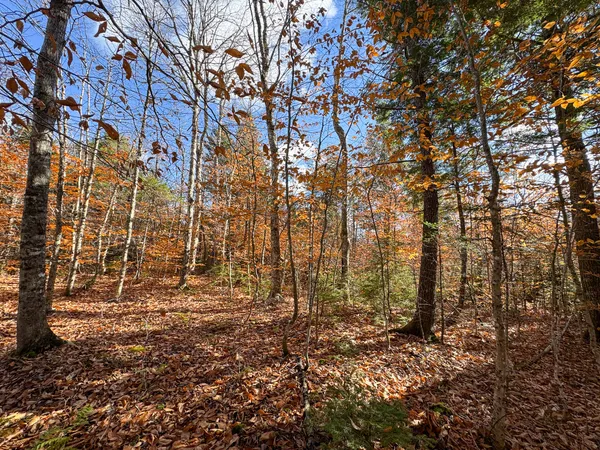 $170,000 | M5-l16 Aroostook Scenic Highway, Smyrna Mills, ME 04780