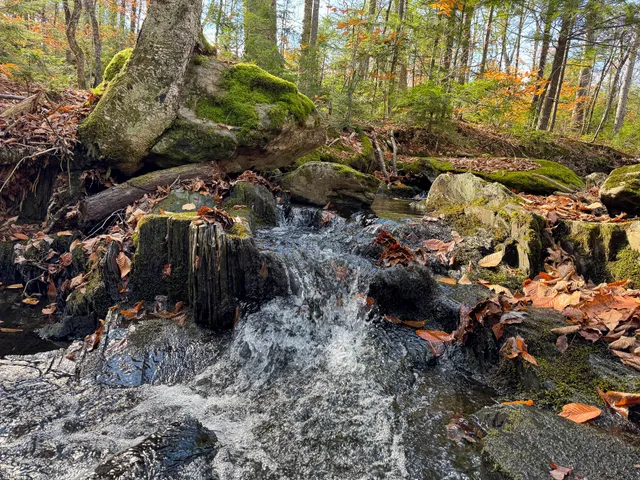 $170,000 | M5-l16 Aroostook Scenic Highway, Smyrna Mills, ME 04780