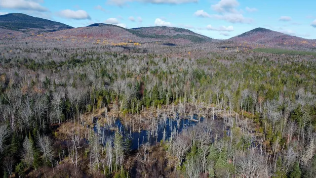 $170,000 | M5-l16 Aroostook Scenic Highway, Smyrna Mills, ME 04780