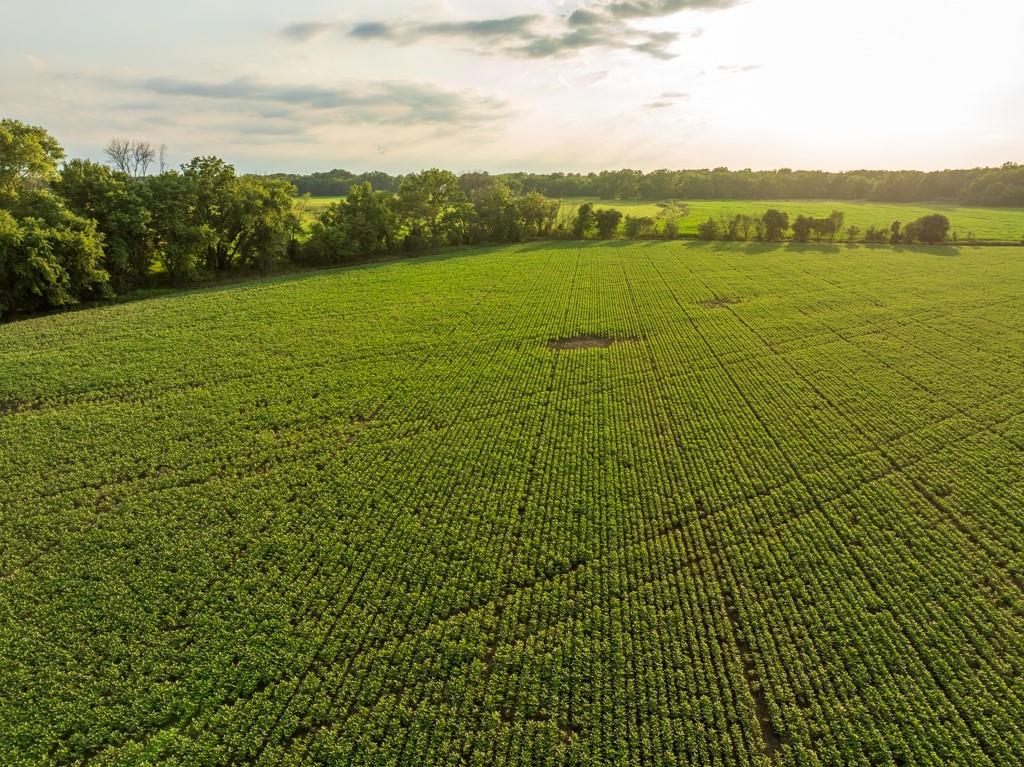 Tbd Northeast 500th Road Warrensburg, MO 64093 - Photo 20 of 40