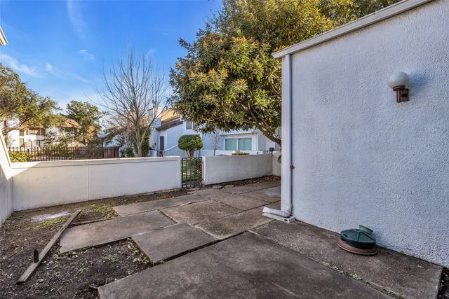 a view of backyard and tree