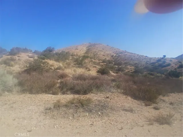 a view of a dry yard