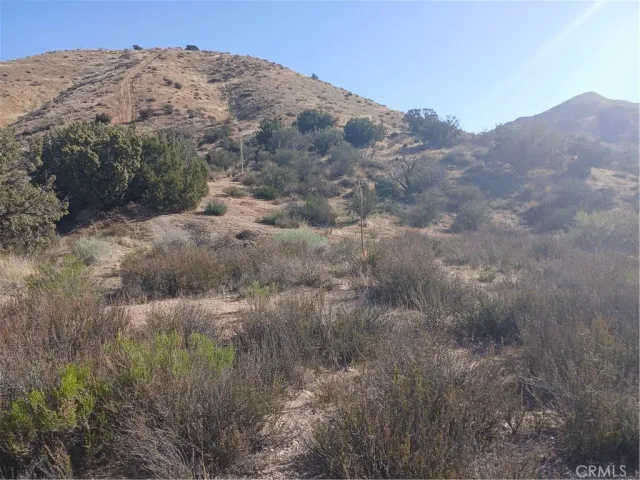 a view of a mountain