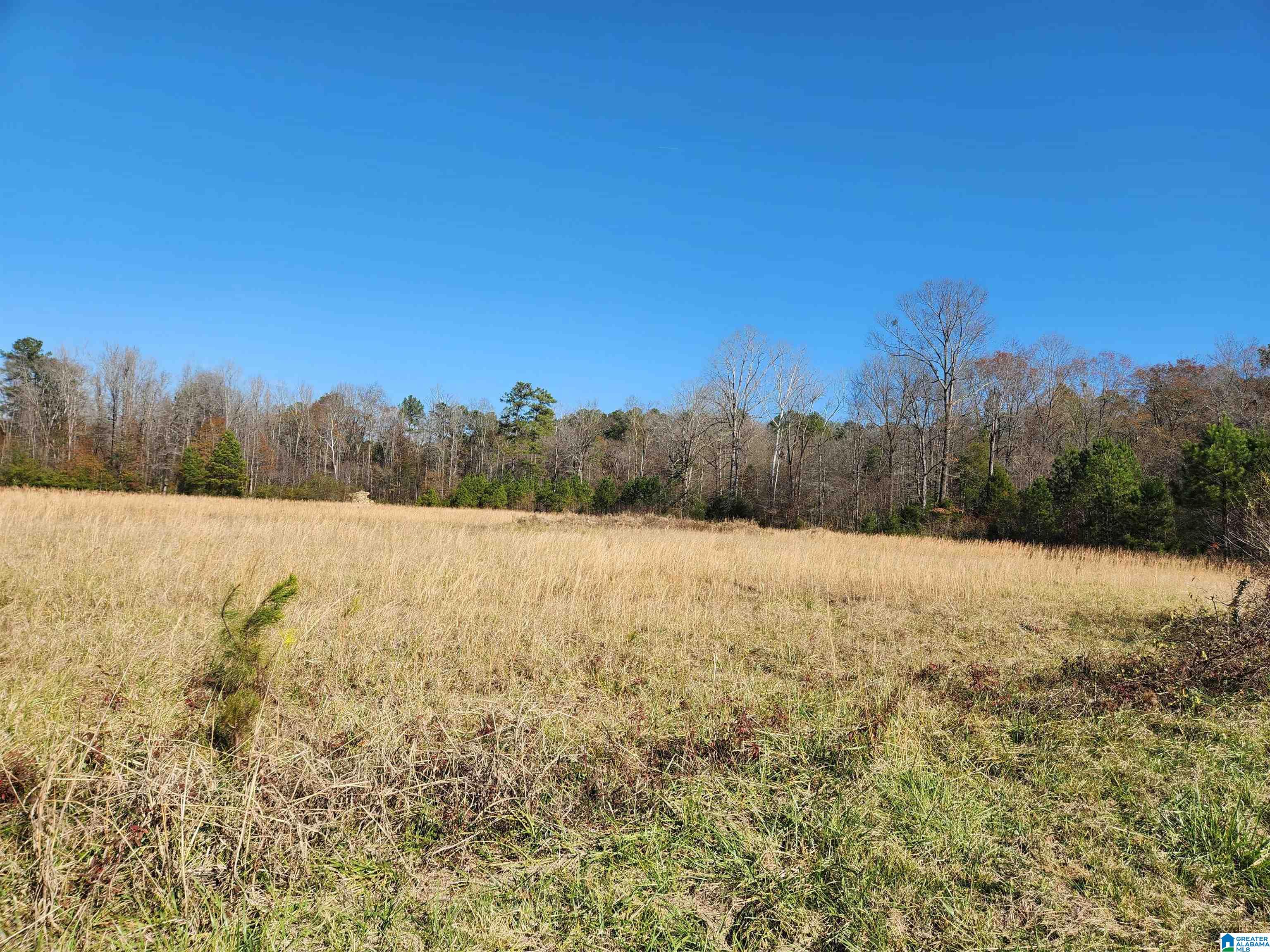 440 Fox Valley Farms Road, Unit 4 Alabaster, AL 35114 - Photo 10 of 12