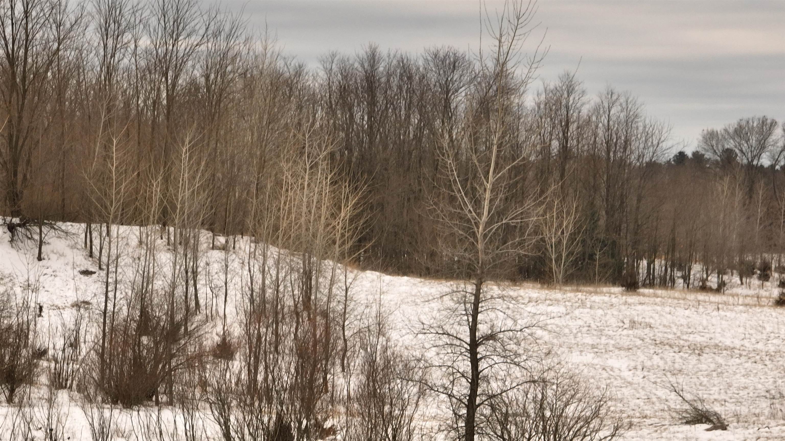 2387 County Rd G Grand Marsh, WI 53936 - Photo 11 of 33