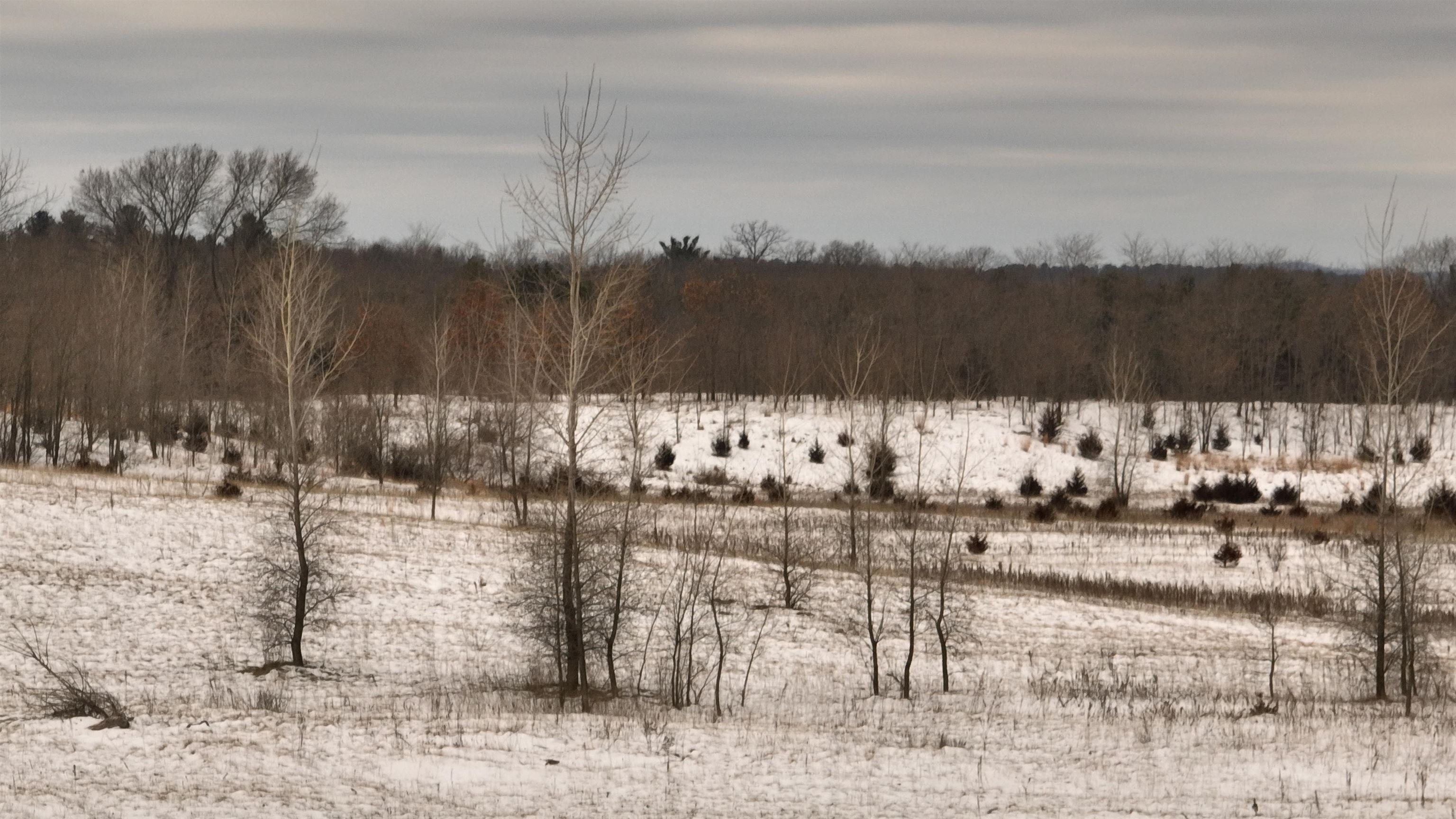 2387 County Rd G Grand Marsh, WI 53936 - Photo 12 of 33