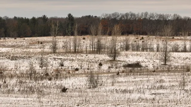 $495,000 | 2387 County Rd G, Grand Marsh, WI 53936