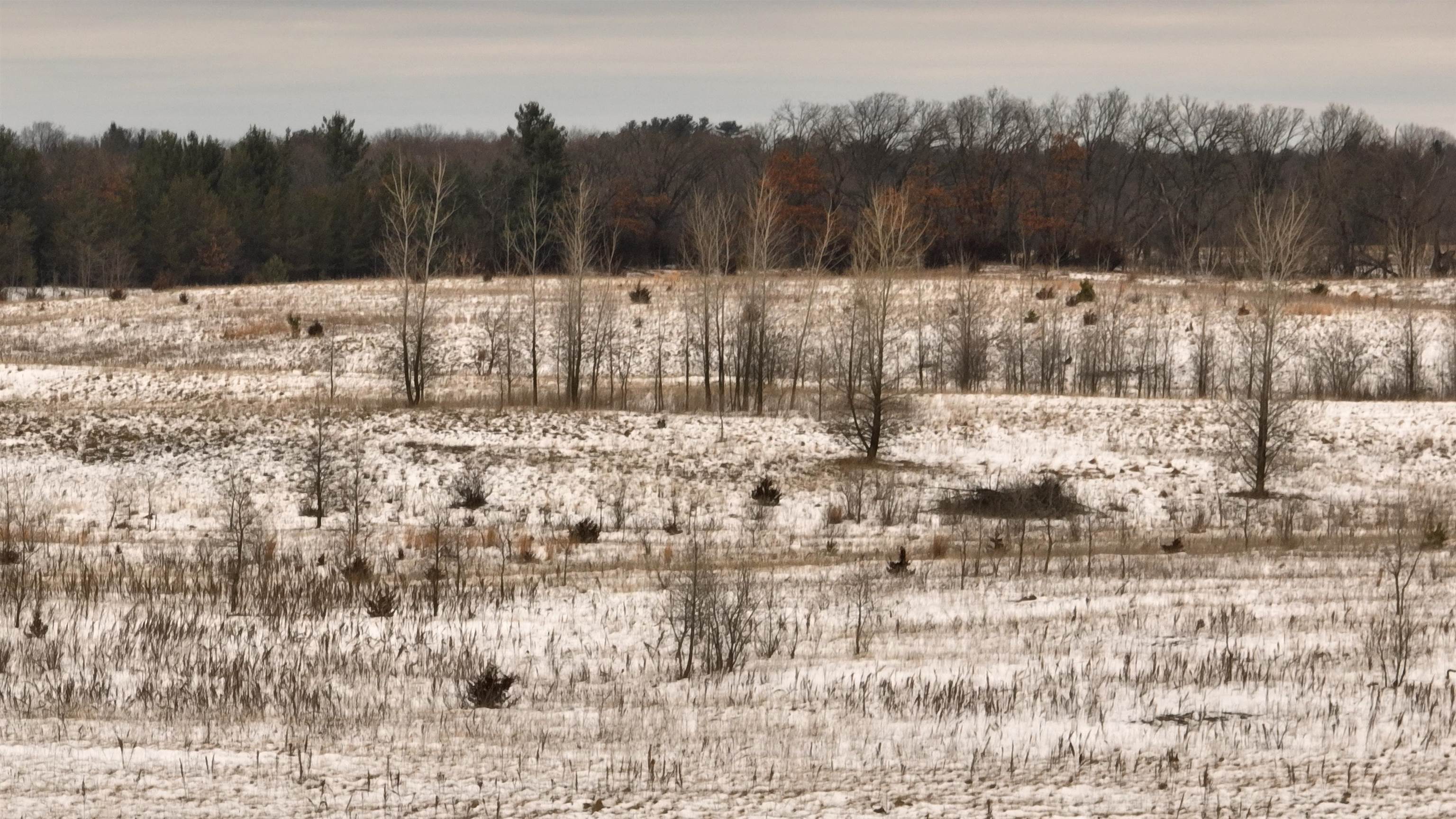 2387 County Rd G Grand Marsh, WI 53936 - Photo 14 of 33