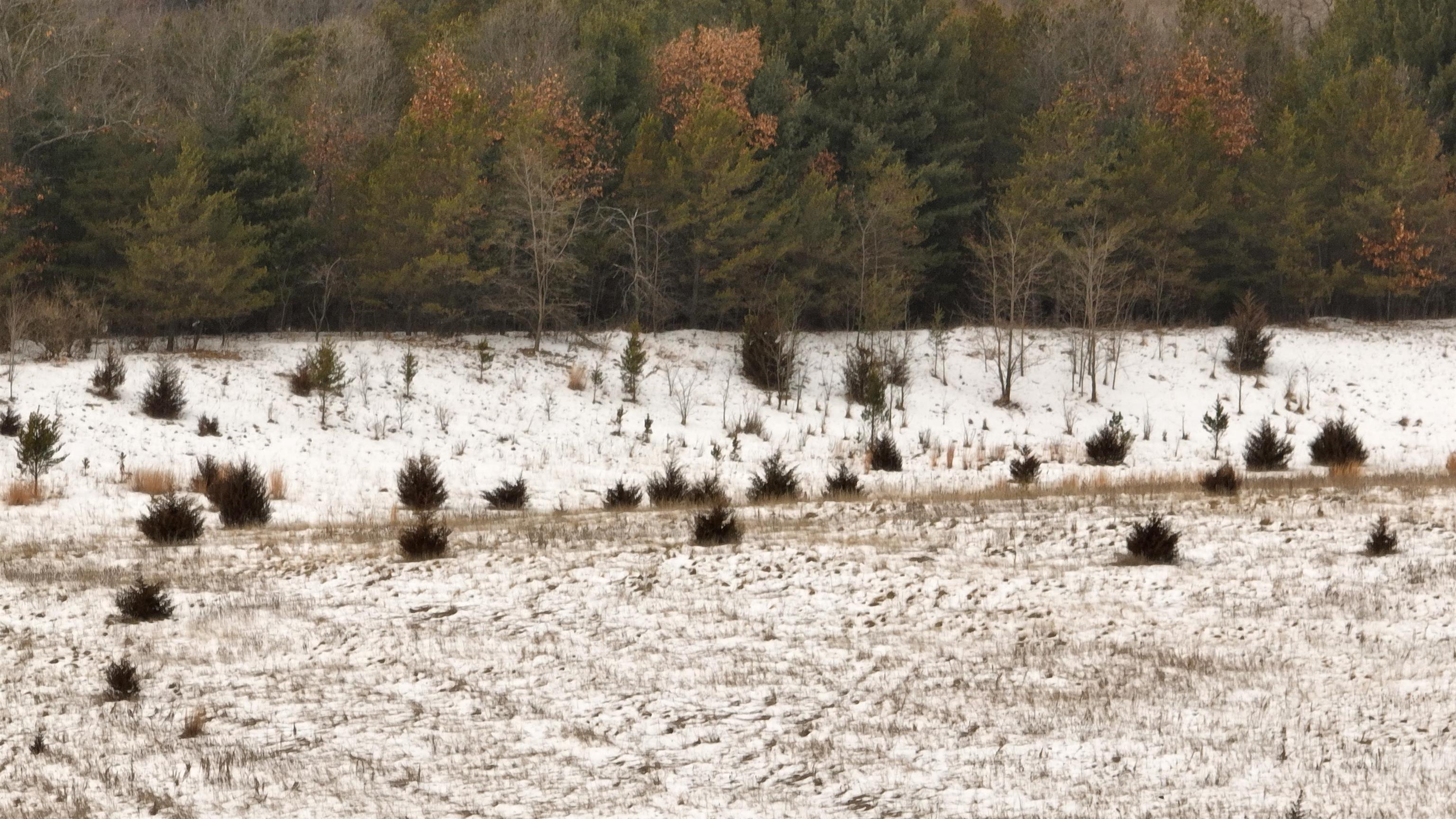2387 County Rd G Grand Marsh, WI 53936 - Photo 20 of 33
