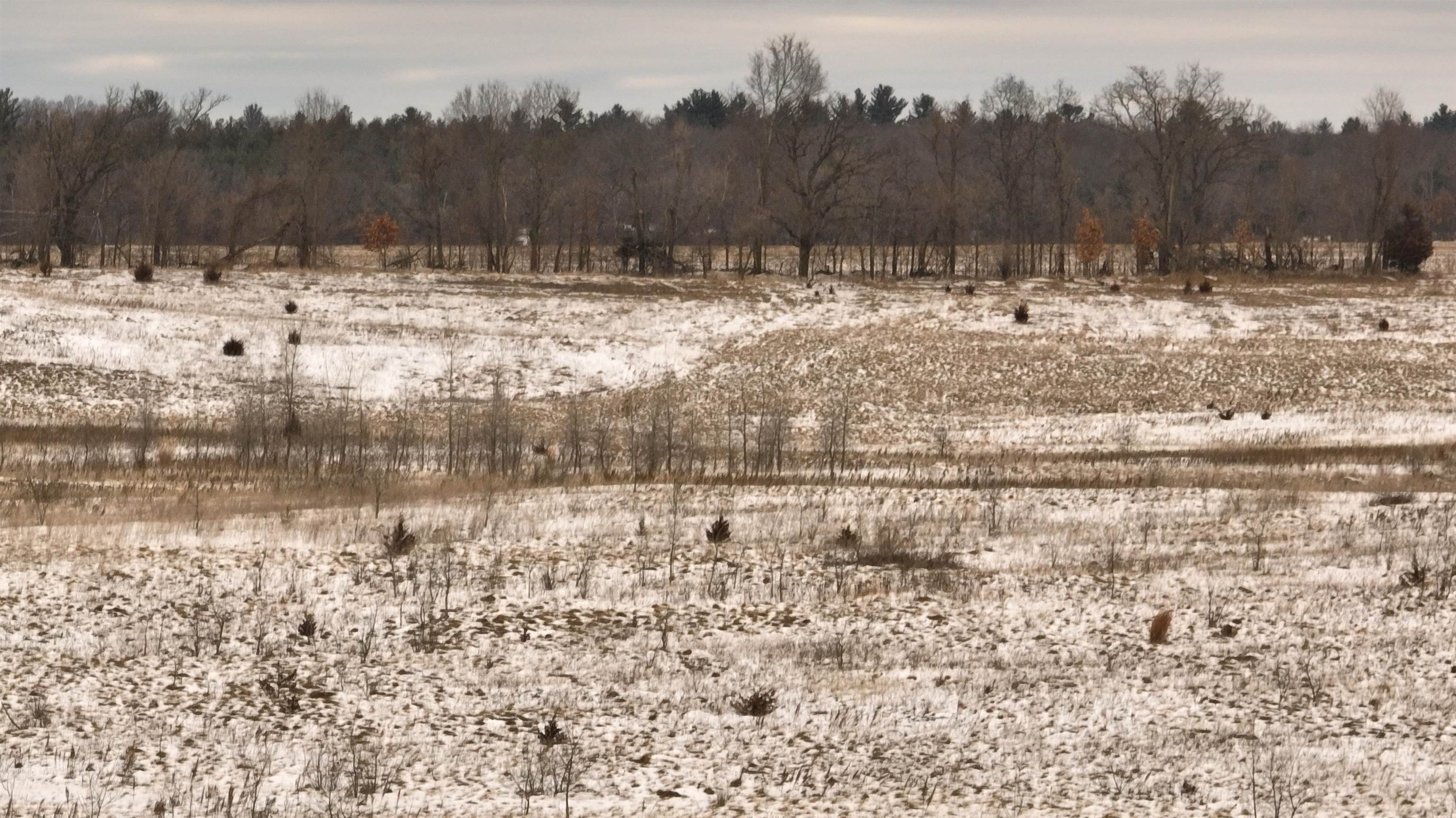 2387 County Rd G Grand Marsh, WI 53936 - Photo 23 of 33