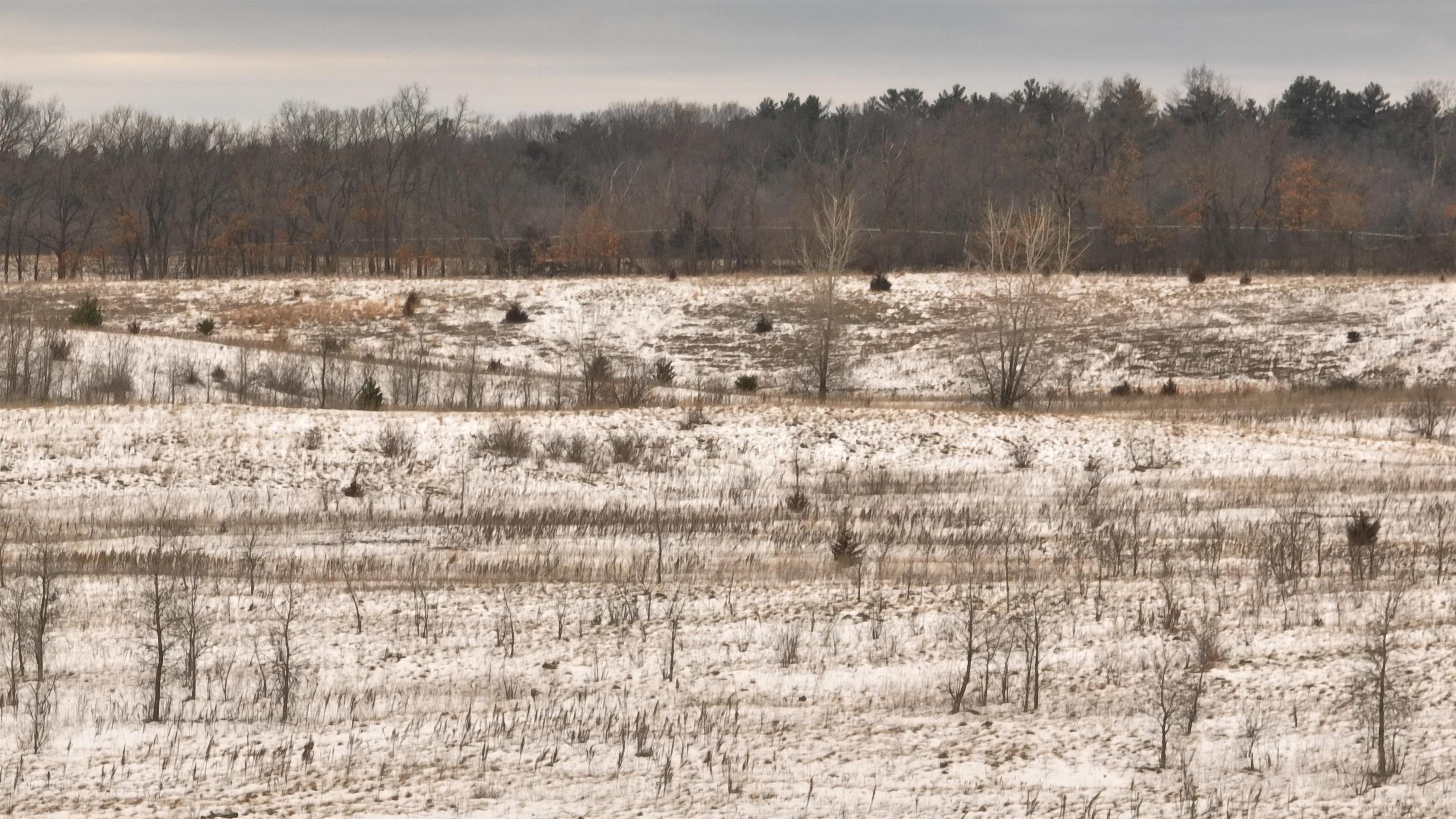 2387 County Rd G Grand Marsh, WI 53936 - Photo 24 of 33