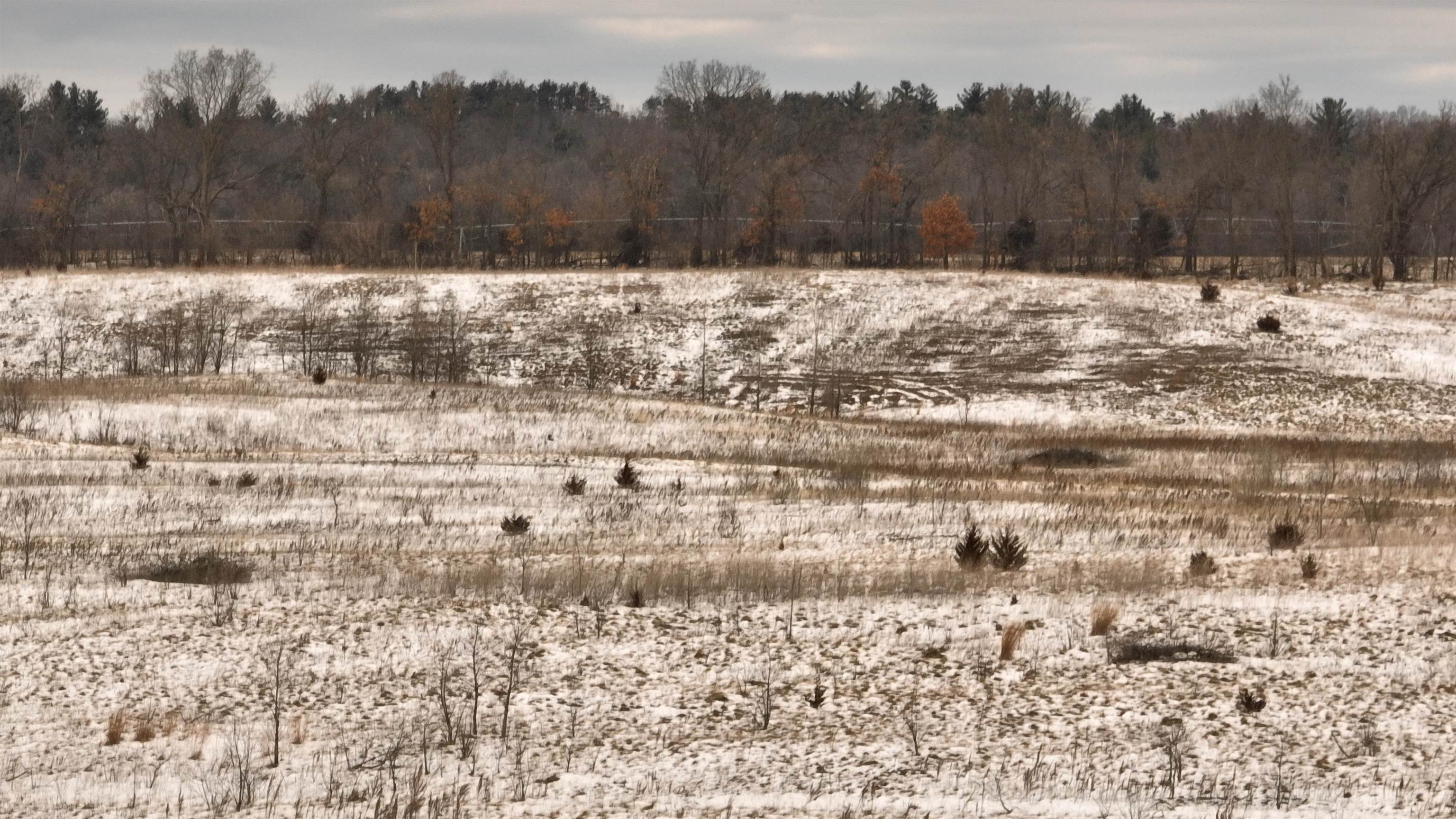 2387 County Rd G Grand Marsh, WI 53936 - Photo 25 of 33