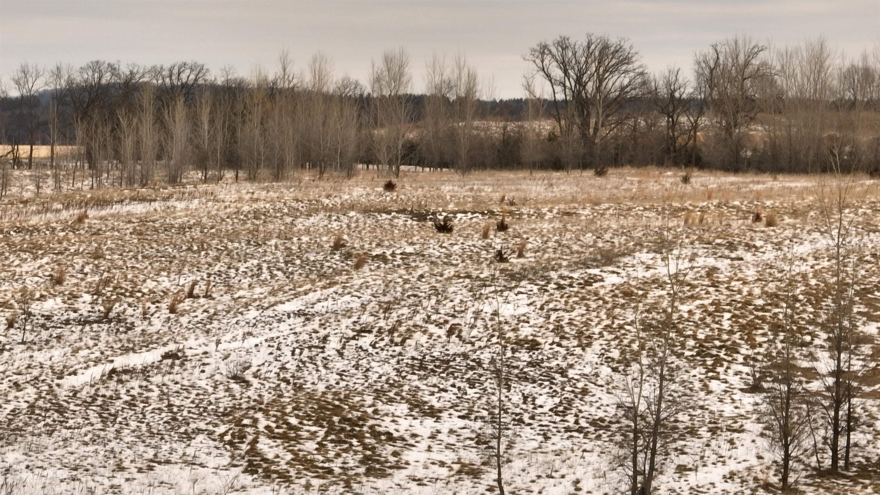 2387 County Rd G Grand Marsh, WI 53936 - Photo 26 of 33
