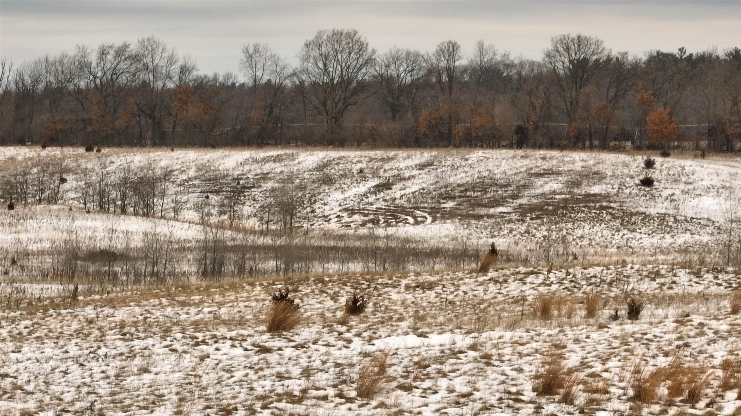 2387 County Rd G Grand Marsh, WI 53936 - Photo 7 of 33