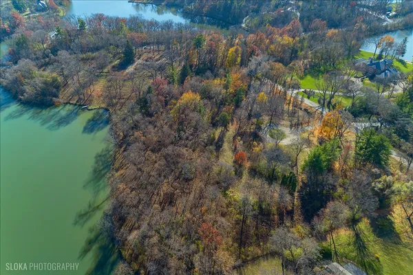 a view of a lake with a forest
