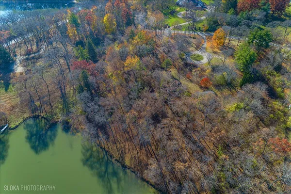 a view of a lake with a tree
