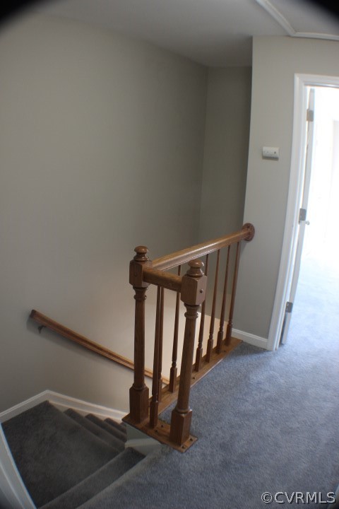206 Crossing Road Fredericksburg, VA 22406 - Photo 27 of 32 Gallery Image 27